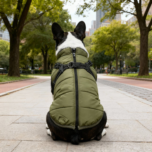 Manteau Hiver 3-en-1 : Imperméable, Harnais Intégré, Doublure Polaire