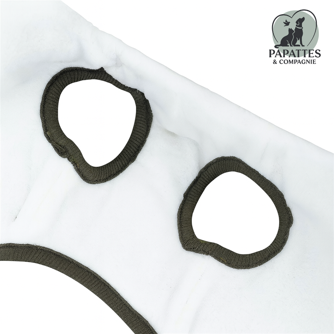 Manteau Hiver 3-en-1 : Imperméable, Harnais Intégré, Doublure Polaire